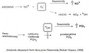 flawonoidy - leczniecze działanie